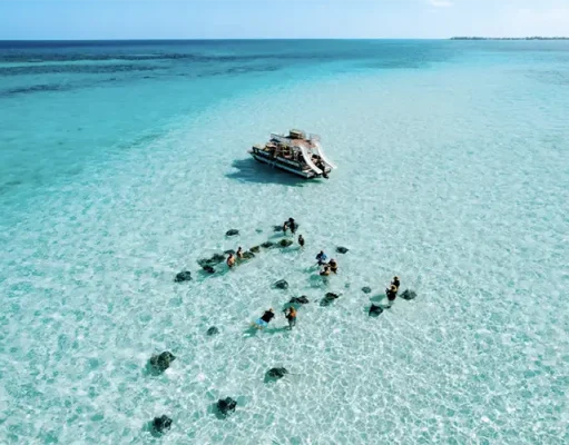 Cayman Islands Delivers Strong February Performance