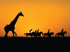 Saddle Up: Horse-Inspired Travel in the Year of the Fire Horse