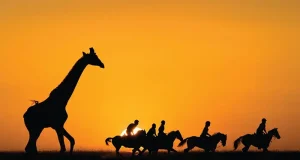 Saddle Up: Horse-Inspired Travel in the Year of the Fire Horse