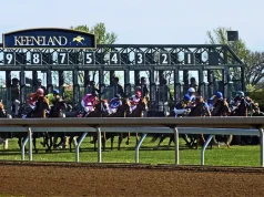 5 Lexington, KY Events You Must Visit at Least Once