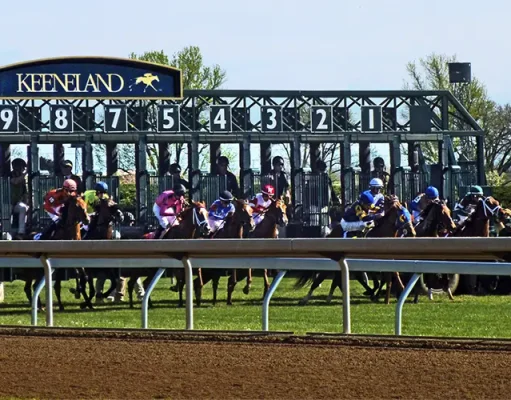 5 Lexington, KY Events You Must Visit at Least Once