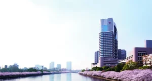 Spring Awakens: Destinations Where the Season Comes Alive