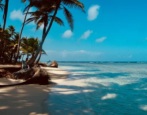 The Caribbean Islands That Were Once Pirate Strongholds