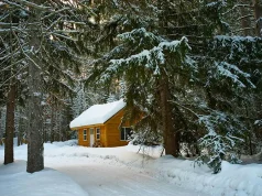 Best Tips for a Memorable Cabin Retreat