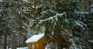 Best Tips for a Memorable Cabin Retreat