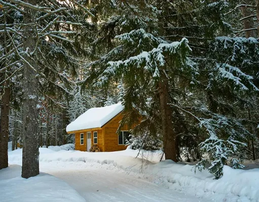 Best Tips for a Memorable Cabin Retreat