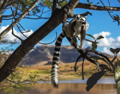 Luxury Travel in Madagascar: Exploring One of the World’s Last Untouched Frontiers