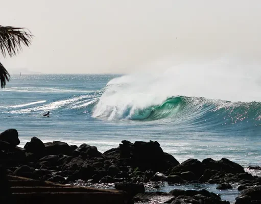 Anna Rahal Launches Samaka Surf Camp: A New Wave of Cultural Surf Hospitality in Dakar