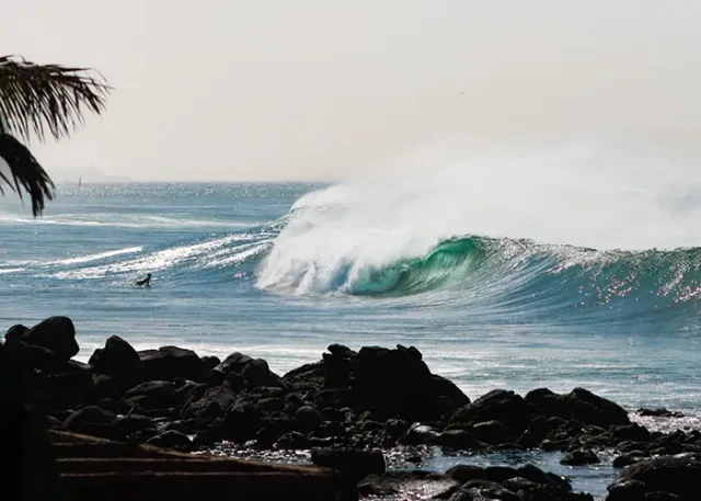 samakasurfcampimg_4349 copy