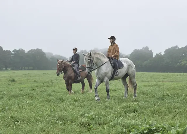 17_Activity_Horseback Riding copy