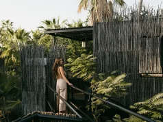 Crowd-Free Summer Travel: Adults-Only Treehouses Await at Acre Resort