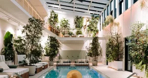 Reset, Restore, Rebalance: The Rise of Nervous System Wellness Travel