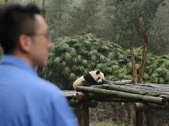 Beyond the Landmark: Discover the City Through the Eyes of House Locals