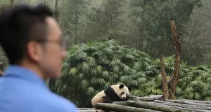 Beyond the Landmark: Discover the City Through the Eyes of House Locals