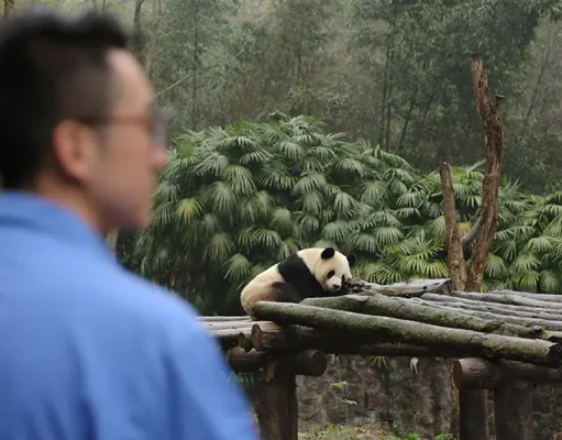 Beyond the Landmark: Discover the City Through the Eyes of House Locals