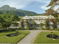 Martinique by the Glass: A Rum Lover’s Route Across the Island