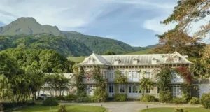 Martinique by the Glass: A Rum Lover’s Route Across the Island