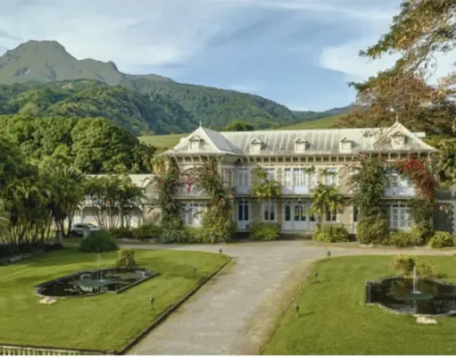 Martinique by the Glass: A Rum Lover’s Route Across the Island