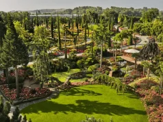 Where To See Scandinavia’s Top Floral Phenomena and Wild Gardens