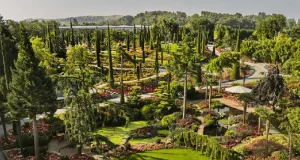 Where To See Scandinavia’s Top Floral Phenomena and Wild Gardens