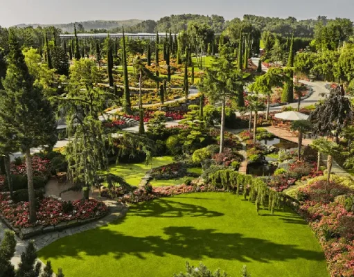 Where To See Scandinavia’s Top Floral Phenomena and Wild Gardens