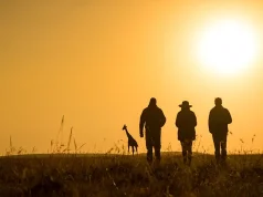 African Safaris Are Emerging as the Ultimate Romantic Escape
