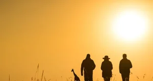 African Safaris Are Emerging as the Ultimate Romantic Escape