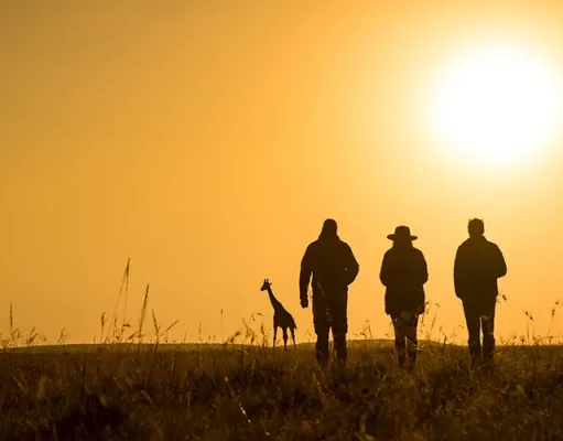 African Safaris Are Emerging as the Ultimate Romantic Escape