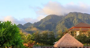 InterContinental Dominica Cabrits Resort & Spa Introduces New Wellness and Culinary Experiences in the Heart of Cabrits National Park