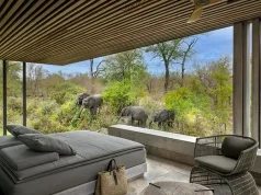 Cheetah Plains Announces Strategic Leadership Appointments