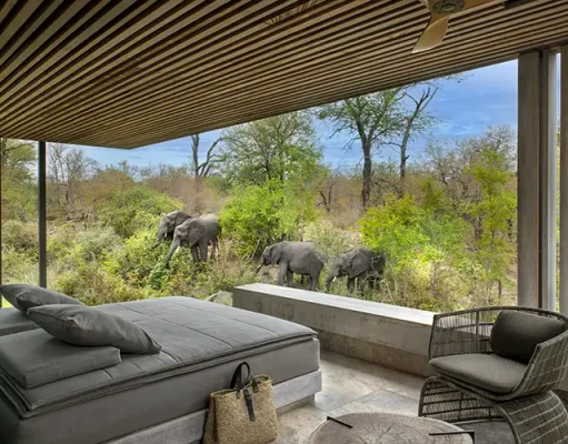 Cheetah Plains Announces Strategic Leadership Appointments