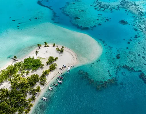 World’s Largest Marine Protected Area Is in The Islands of Tahiti