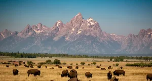 Double the Adventure: BOGO U.S. National Park Trips to Take Now