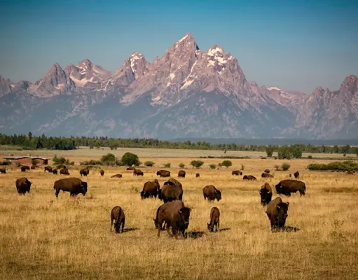 Double the Adventure: BOGO U.S. National Park Trips to Take Now