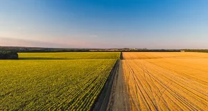 Popular Farming Trends Around the World