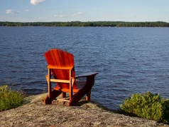 How to Get from Muskoka to Toronto Pearson Airport – All Transportation Choices Explained