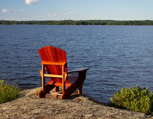 How to Get from Muskoka to Toronto Pearson Airport – All Transportation Choices Explained