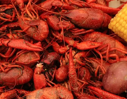 The Roots of Southern Food & the Bounty of the Sea