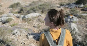 What to Expect from Self-Guided Hiking Experiences