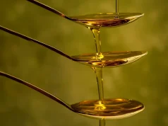 Where the Finest Olive Oil Comes From: Top Countries Explained