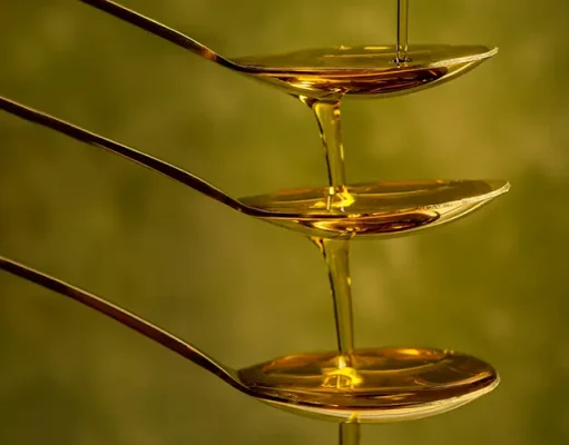 Where the Finest Olive Oil Comes From: Top Countries Explained