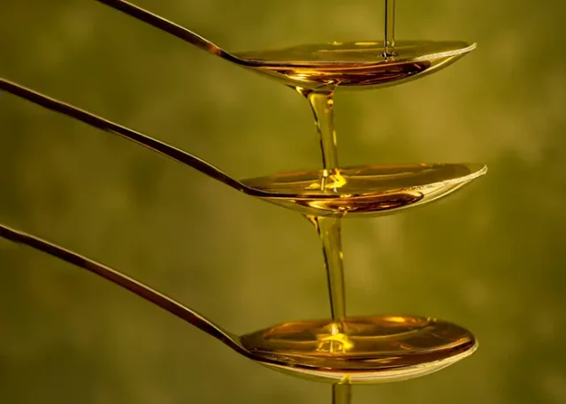 skyler-ewing-2srLXVFaOJs-unsplash copy