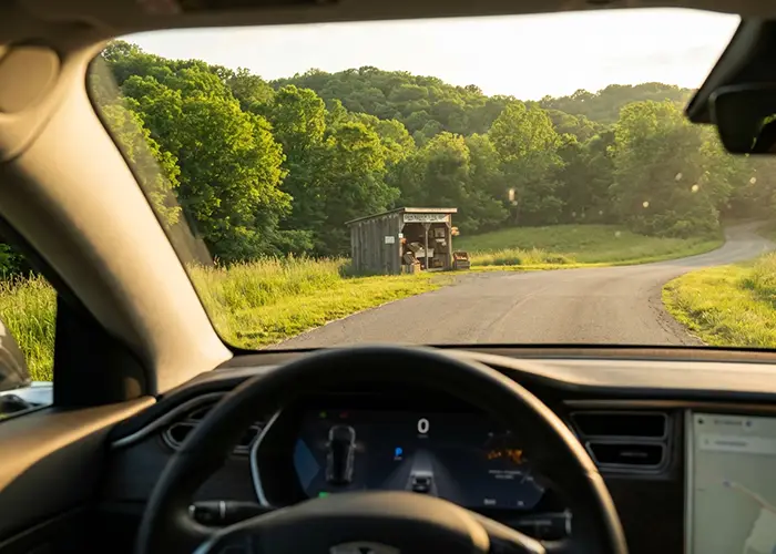 view from-car showing roadside stand amidst greenery