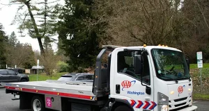 Towing Services on the Road: What Every Traveler Should Know