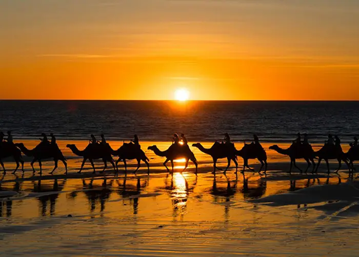 Camel tour on Cable beach