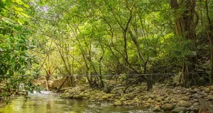Why Rincon de la Vieja National Park Is One of Costa Rica’s Most Underrated Adventures
