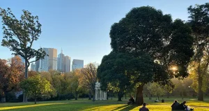 Melbourne Travel Tips: An 800-Word Guide to Exploring Australia’s Cultural Capital