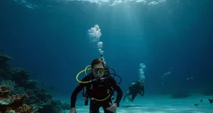 The Budget Traveler’s Guide to Getting PADI Certified in the Caribbean