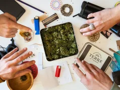 The Arizona Pitstop: A Traveler’s Guide to Local Dispensaries