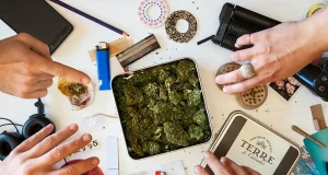 The Arizona Pitstop: A Traveler’s Guide to Local Dispensaries
